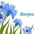 Des bleuets
