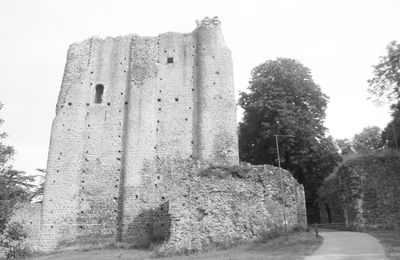 Château de Pouzauges 1