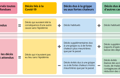 Un vaccin meurtrier ?