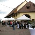 L’Alsace des Vins de Terroirs est-elle au bord d’une crise profonde ?