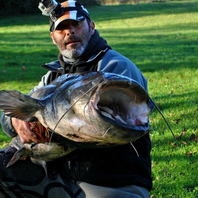 SILURE 2M10 PÊCHE EN KAYAK SUR LA DORDOGNE