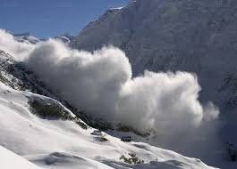 LE CHAT DU PÈRE LACHAISE. CHAPITRE 4. DISPARITION DE BRUNO.