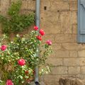 LES BALADES en France