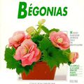 livre : Bégonias - Des Variétés Pour Le Balcon, La Terrasse, L'appartement Et Le Jardin 