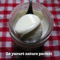 Yaourts natures parfaits