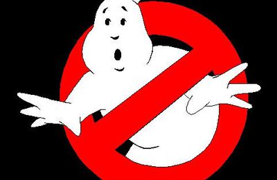 If there's something strange, in the neighbourhood, who you gonna call ?