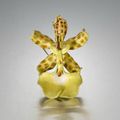 A rare late 19th century enamel orchid brooch, by Tiffany, circa 1890