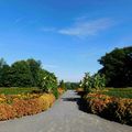 Parc du Bois-de-Coulonge - 2 : Allée du Sieur de Coulonge - 3 : Les Serres