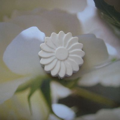 Savon Coco Crasy au lait d'amande