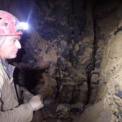 Lauquet / lauquettes....