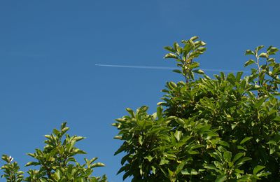 Un beau ciel tout bleu, un soleil radieux en Lorraine ! Il faut fêter ça !