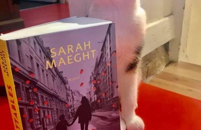 J'ai lu : Les imbattables de Sarah Maeght 