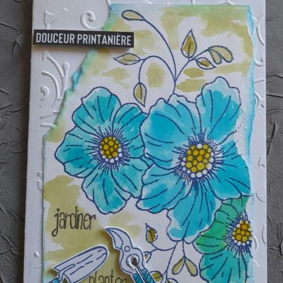 Dans ma boîte aux lettres ...
