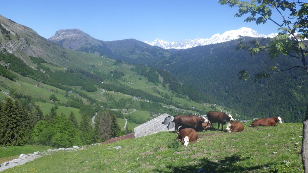 Une belle rencontre nationale UFOLEP en Haute Savoie
