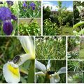Le jardin du sud