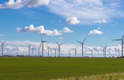Éoliennes : des énergies pas si vertes que ça… (video et article)