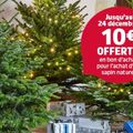 Bon plan : où trouver des sapins pas chers pour Noël 2019 ?