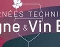 Vigne et vin bio