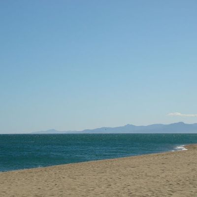 Incursion aux jardins familiaux