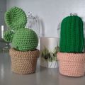 cactus au crochet