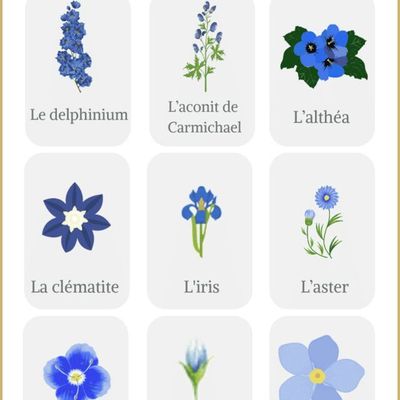 Echange ATC 🪻fleurs bleues 🪻