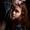Twilight, Chapitre 1 : fascination (Twilight)
