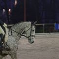 Têtes de chevaux au Haras 85 concours janvier 2016 les 16 et 17 