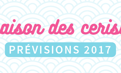 Prévisions de l'hanami (floraison des cerisiers) en 2017, dates et lieux 