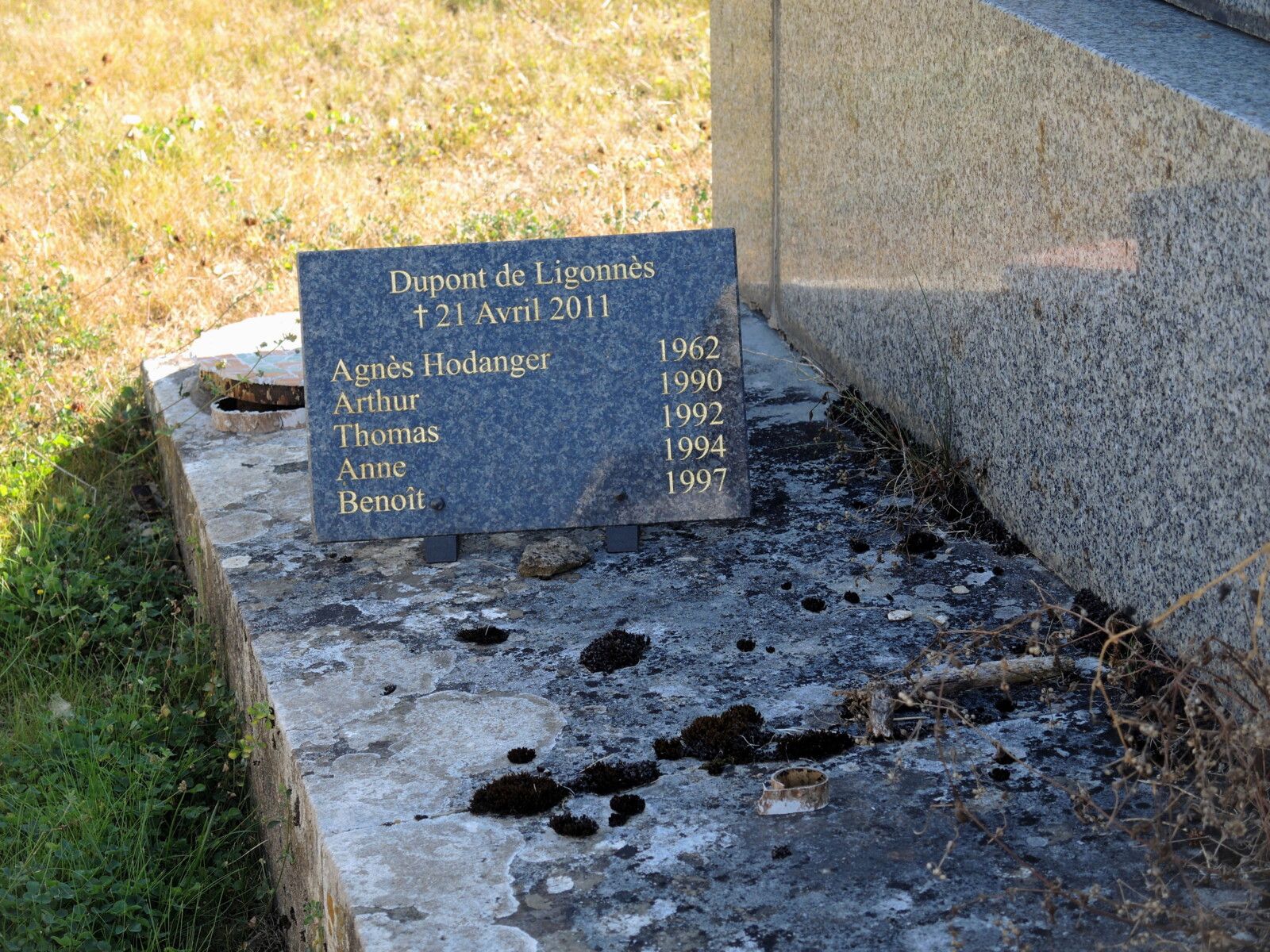 Noyers-sur-Serein, cimetière, tombe Dupont de Ligonesse. (89)