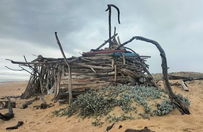 Sur des plages landaises, hors saison (40)