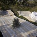 Une aprés-midi dans la garrigue