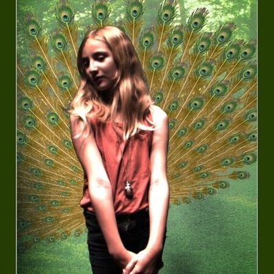 trouve ta queue au musée d'histoire naturelle de Nantes