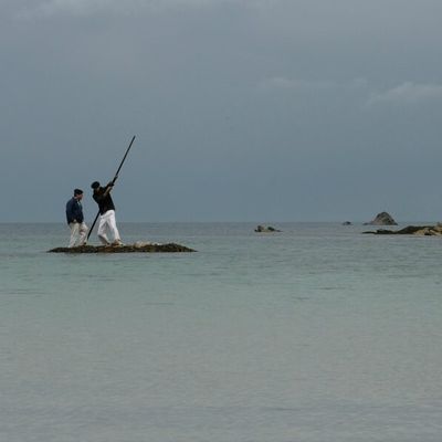 La fête des goëmoniers de Corejou (Plouguerneau)