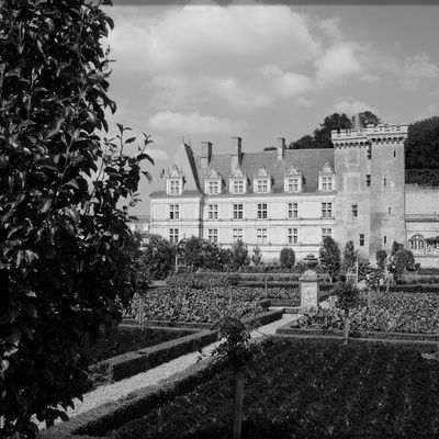 Les châteaux de la Loire #03