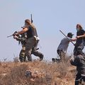 !!Génocide à Gaza: J 565!! Puisque rien ni personne ne les arrête, les colons poursuivent leurs vols au détriment des Palestiniens