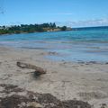 Plage de Anse Canot 