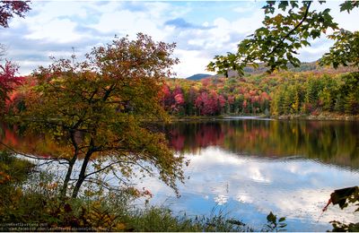 Carnet de voyage - de plus en plus de couleurs pour Aslan le rêveur 