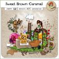 Sweet Brown Caramel