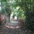 Une promenade du dimanche