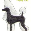 coupe de caniche "puppy clip"