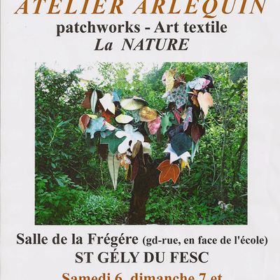 Expo à St Gély du Fesc