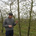 En avril ne te découvre pas d'un fil! Le gel tardif de ce printemps 2021 met en péril la pomme de Normandie.