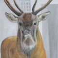 Le cerf - huile sur toile - 46x55 cm