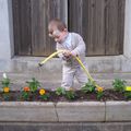 tristan petit jardinnier