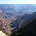 Au bord du Grand Canyon