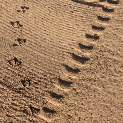 La Baule un dimanche d'été, 8h30