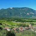 le Grand Colombier