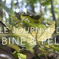 Le Journal de Bobine & Pelote - Ep. 12 (saison 2)