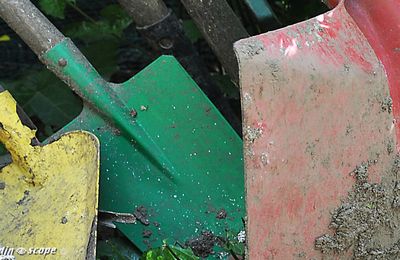 Le Pense-jardin des travaux à faire en décembre