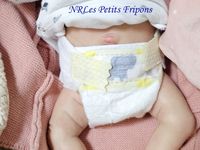 JASMIN 2 du Kit de Priscila Lopez   VENDUE